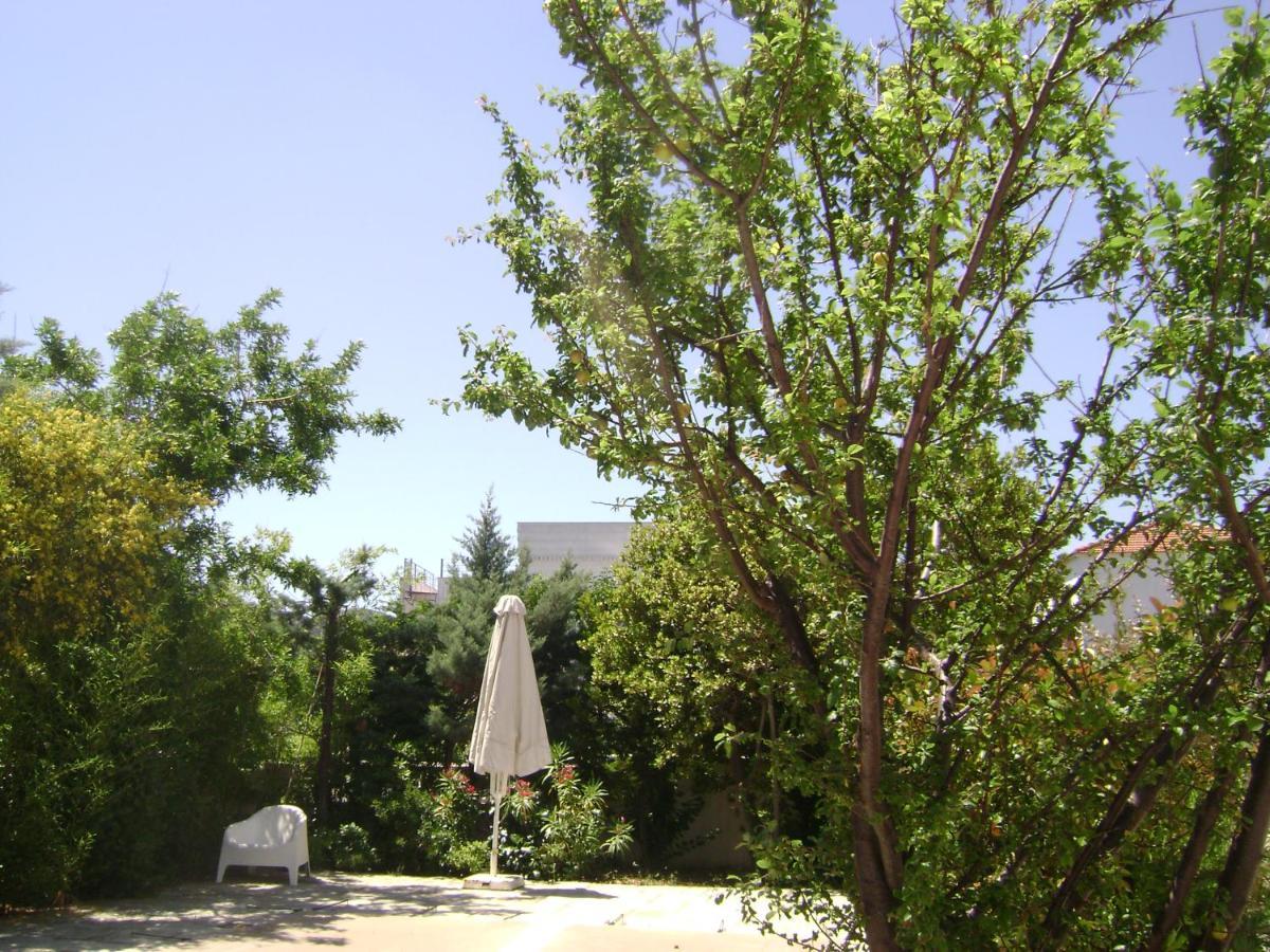 Planitas Villas Città di Skopelos Esterno foto