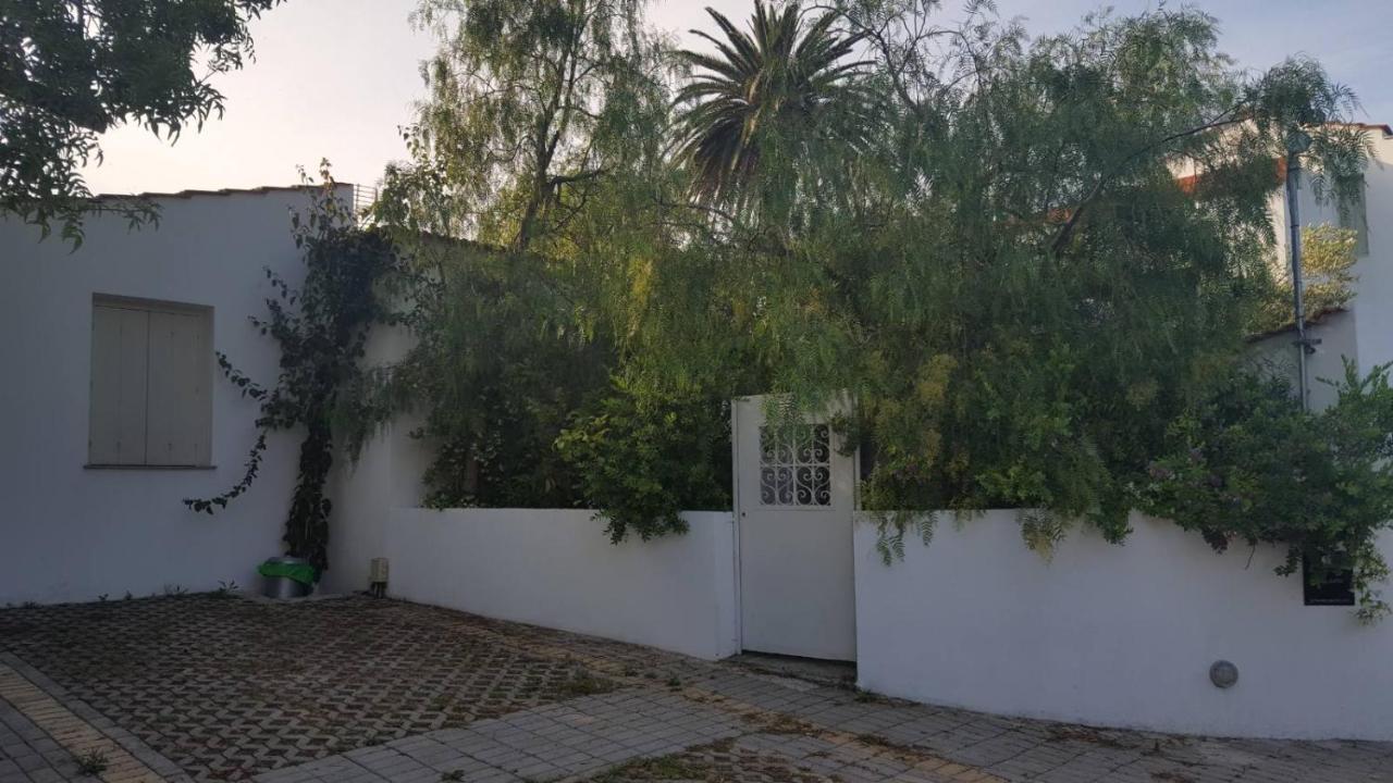 Planitas Villas Città di Skopelos Esterno foto